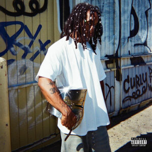 fried از Tony Velour