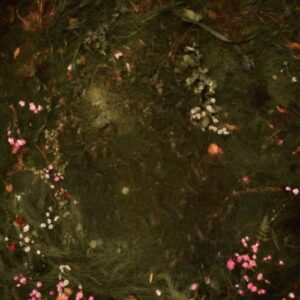 Out Loud از Peach PRC