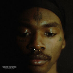 TEARS ON THE LEAVES از Terry Presume