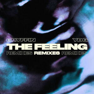 The Feeling (Remixes) از Gryffin