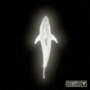 Infinito از Yandel