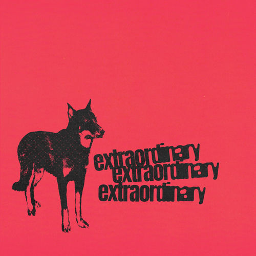 Extraordinary از Connor Price